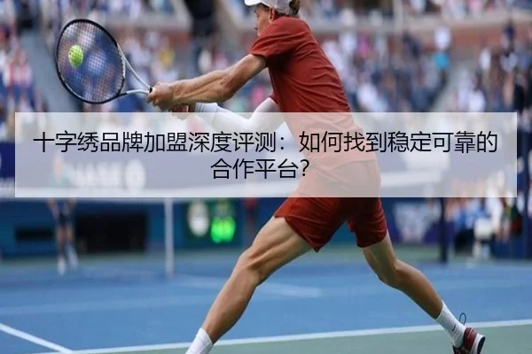十字绣品牌加盟深度评测：如何找到稳定可靠的合作平台？